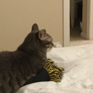 Meet your Posher, Katrina